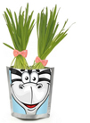 Happy Plant Сафари Зебра